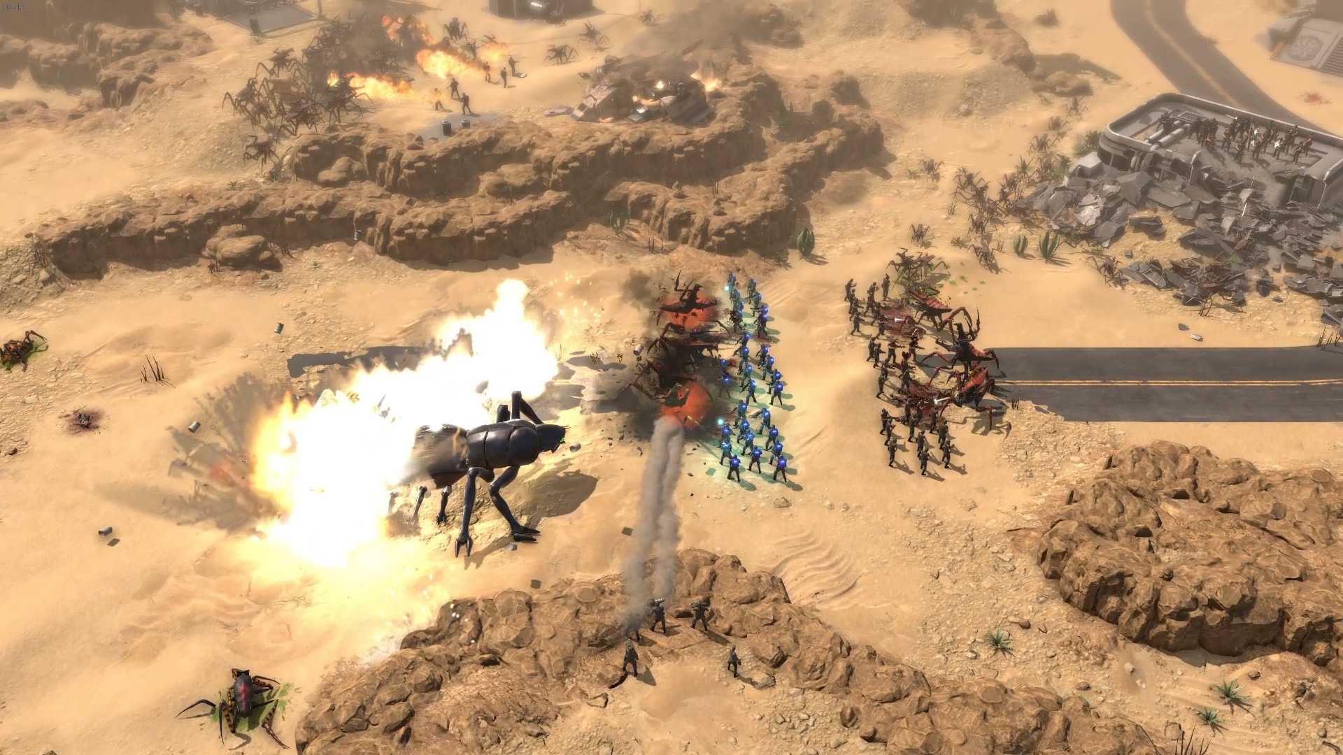 terran command